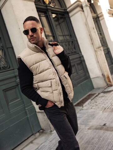 Gilet 'Torge' DAN FOX APPAREL en gris