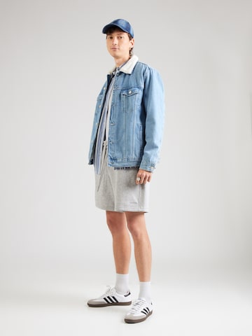 Loosefit Pantaloni di HOLLISTER in grigio