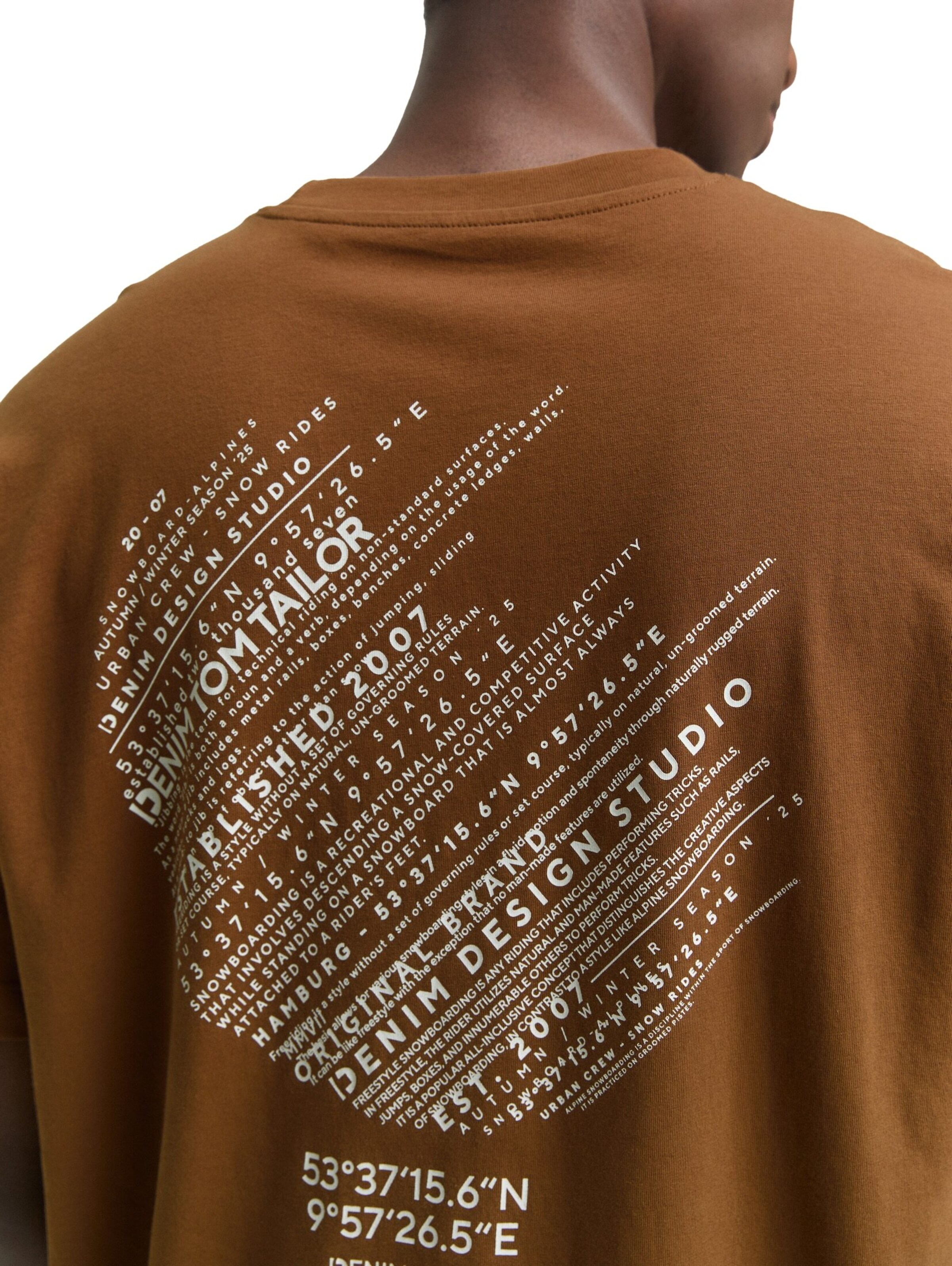 TOM TAILOR DENIM Shirt in Brown