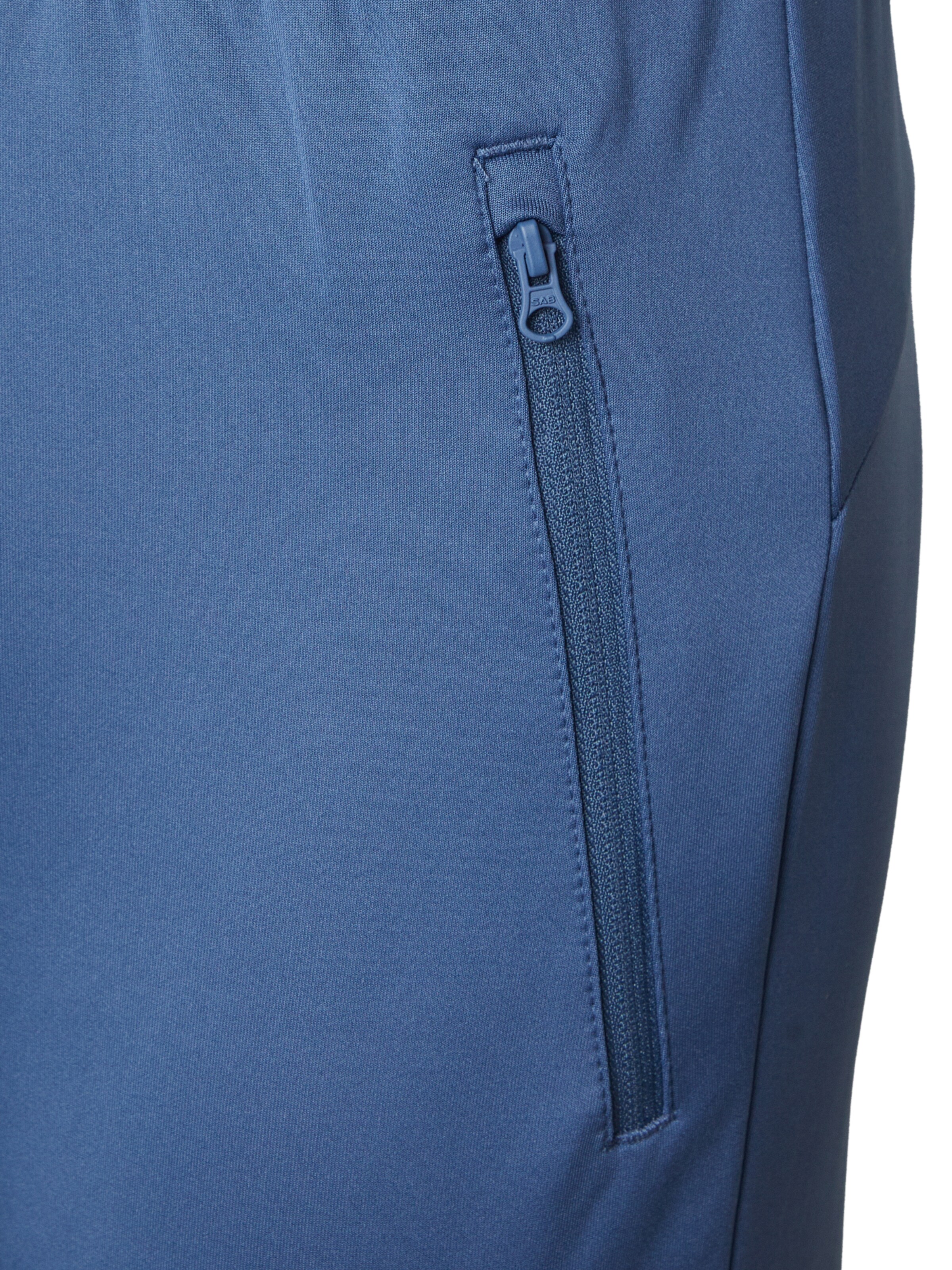 4F Обычный Спортивные штаны в Синий