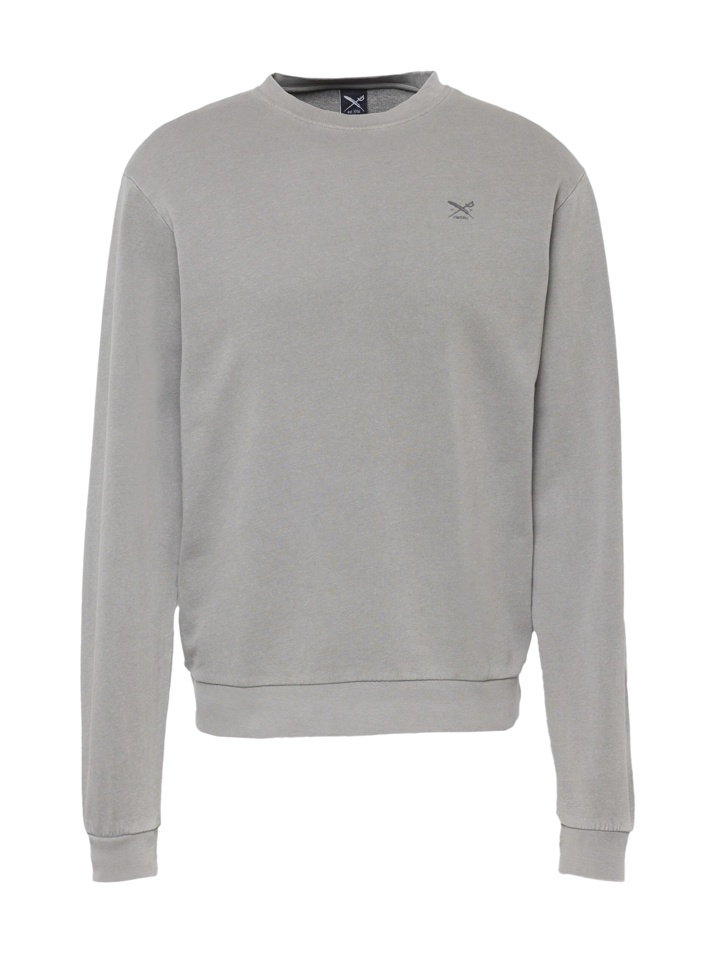 Iriedaily Sweatshirt 'Waterkeeper' in Grey: front