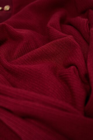 Salsa Jeans Pullover in Rot