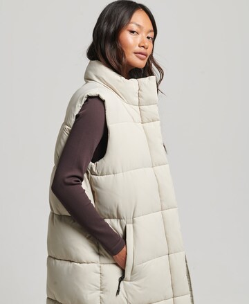 Superdry Bodywarmer in Beige