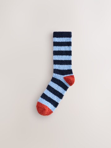 Chaussettes Next en mélange de couleurs