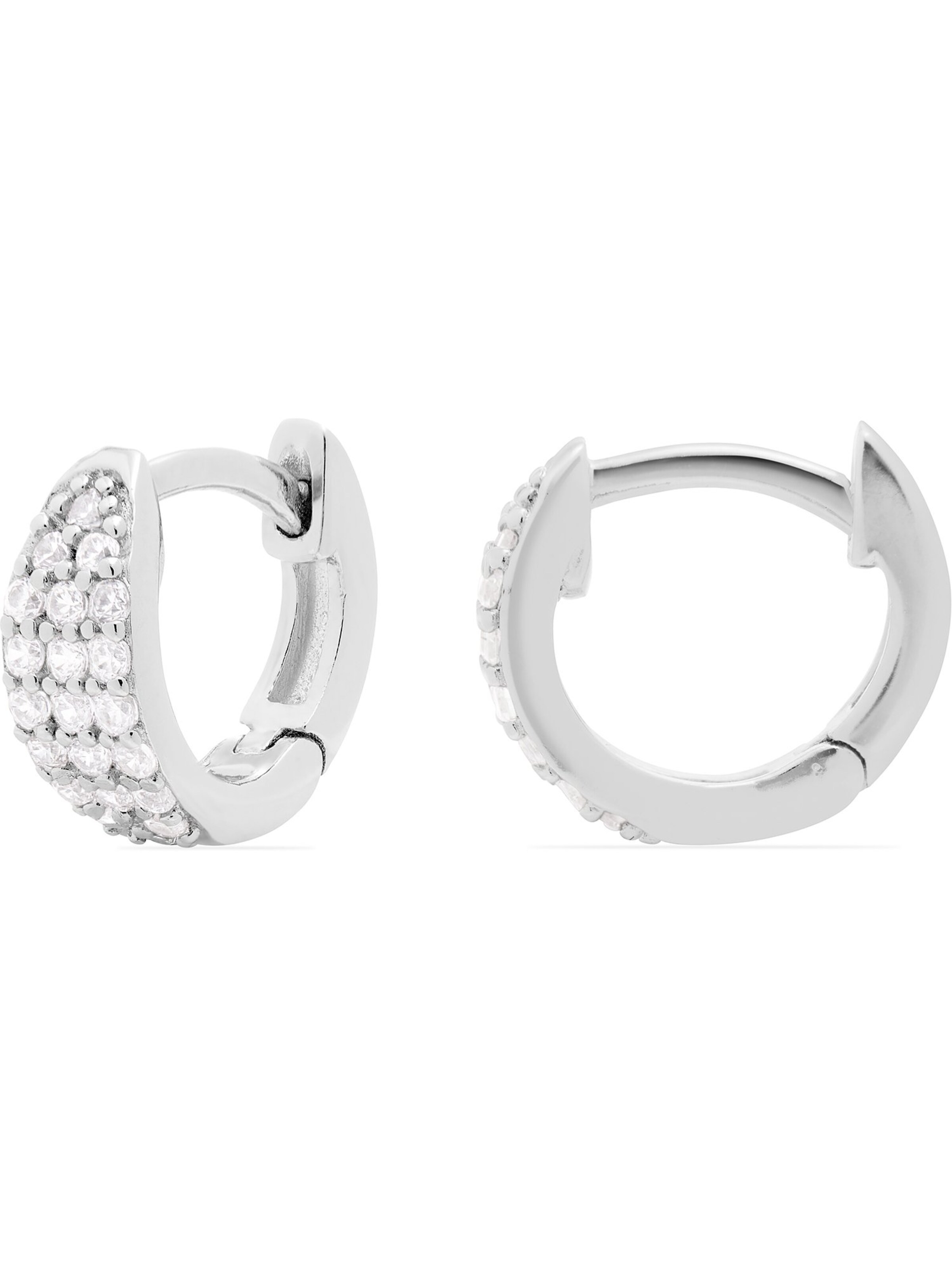 FAVS Earrings in Silver