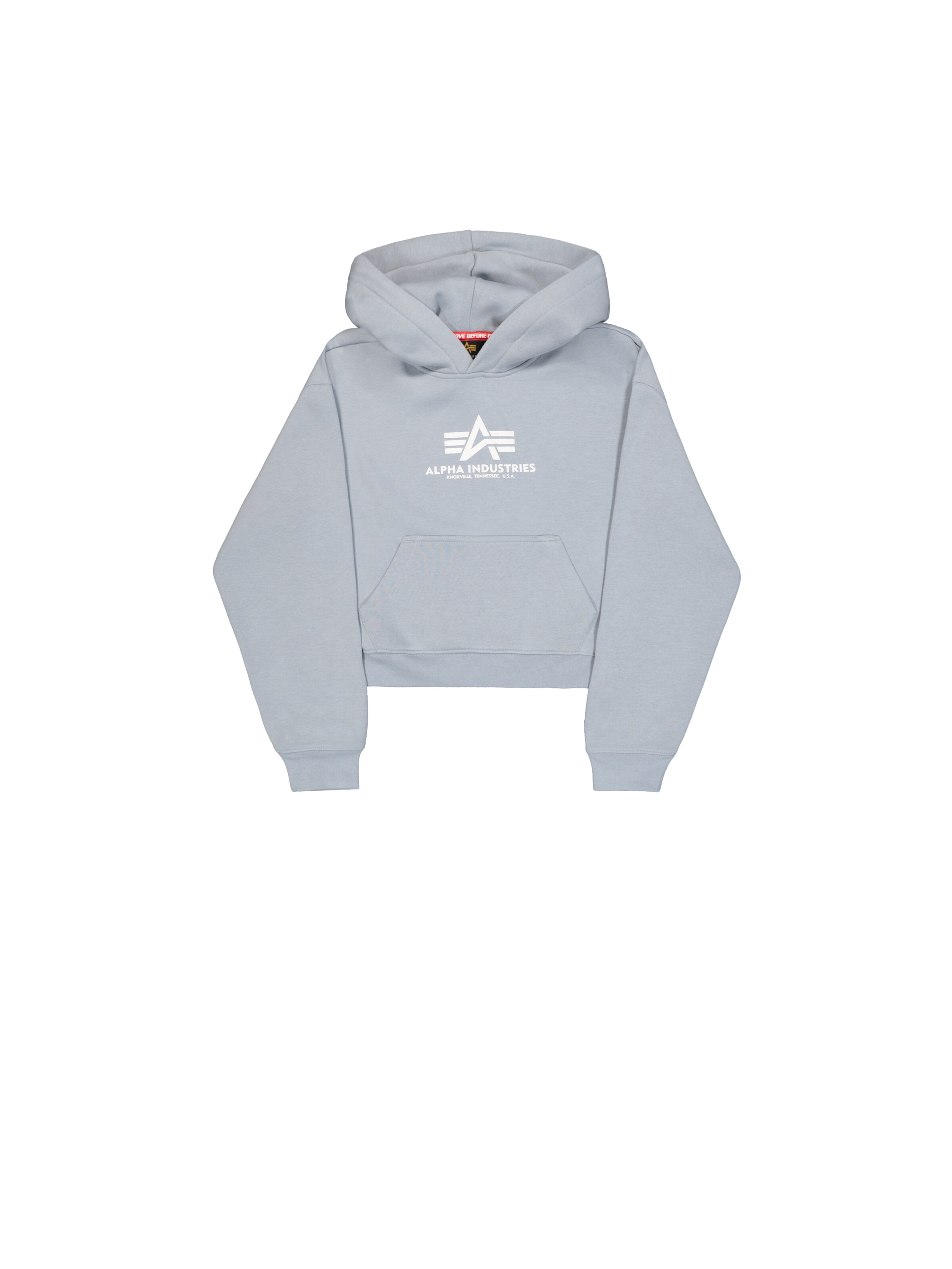 ALPHA INDUSTRIES Sweatshirt in Grau: Vorderseite