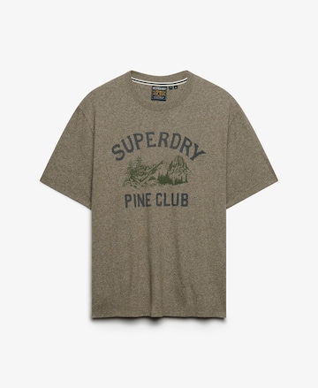 Superdry & Co Shirt in Green