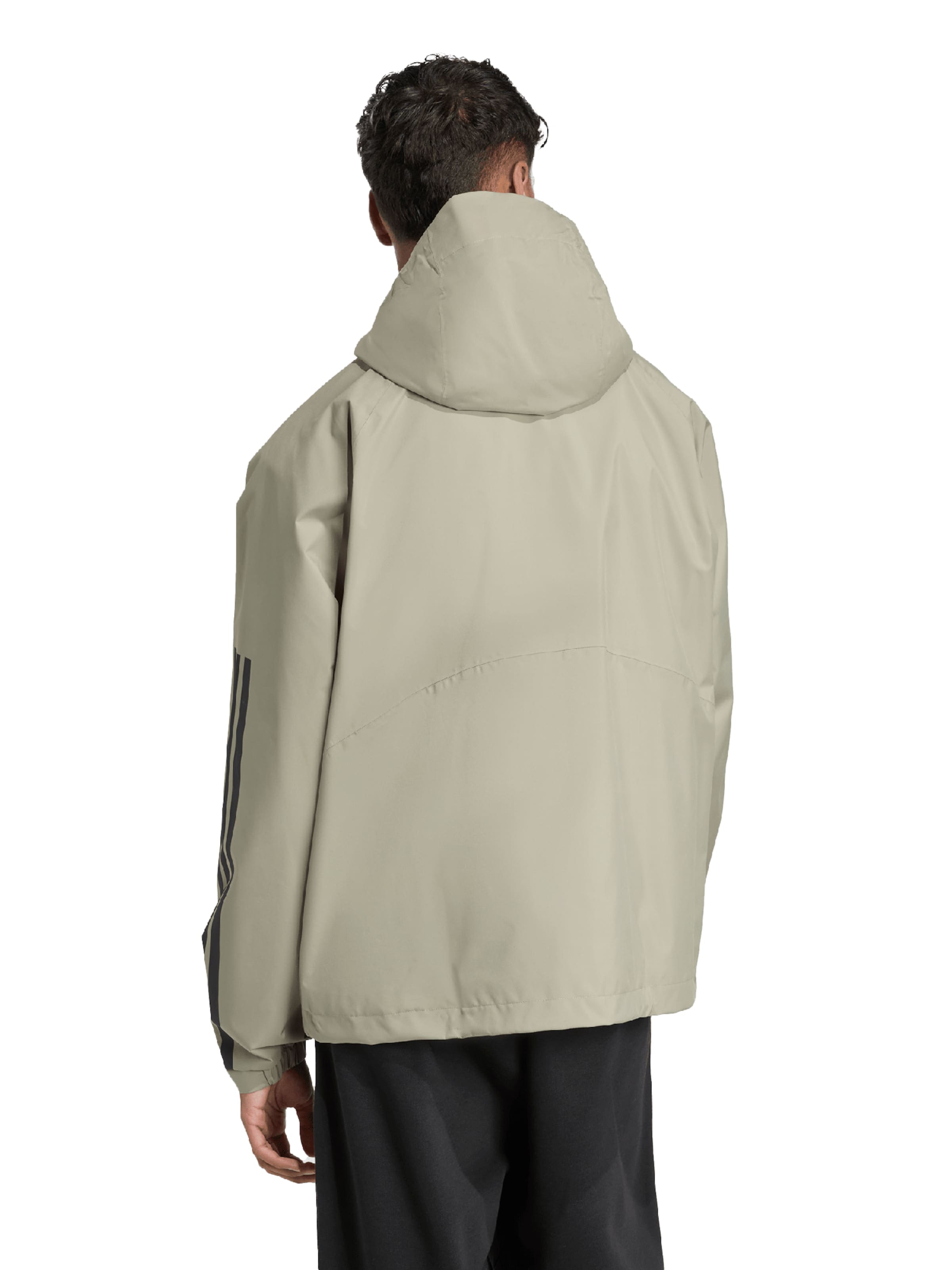 Giacca sportiva 'ESS' di ADIDAS SPORTSWEAR in verde: dietro