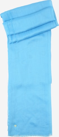 CODELLO Kaulaliina värissä sininen: etupuoli