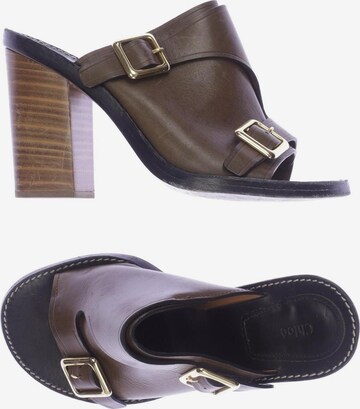 Chloé Sandals & High-Heeled Sandals in 36,5 in Brown: front