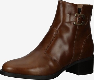 Bottines Nero Giardini en marron : devant