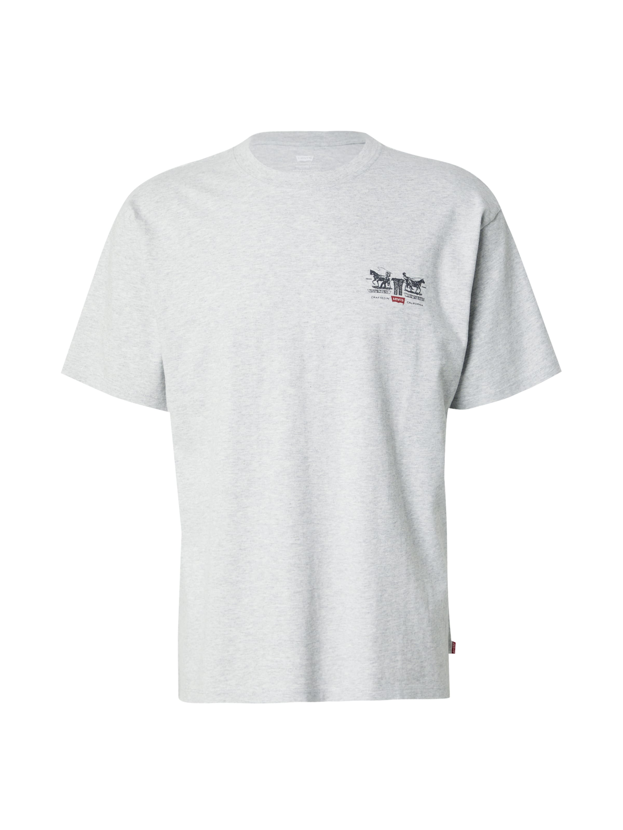 LEVI'S ® Shirt 'Graphic Vintage Fit Tee' in Grey: front