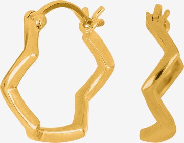 Nordahl Jewellery Earrings 'NICE52' in Gold: front