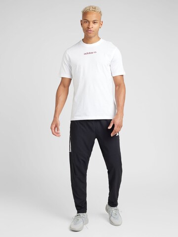 ADIDAS ORIGINALS Bluser & t-shirts i hvid