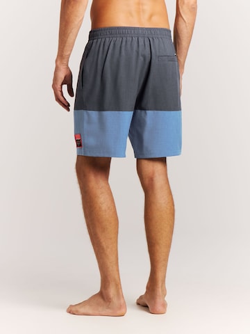 PROTEST Board Shorts 'PRTCabus' in Blue