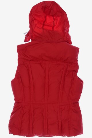 TOMMY HILFIGER Vest in L in Red