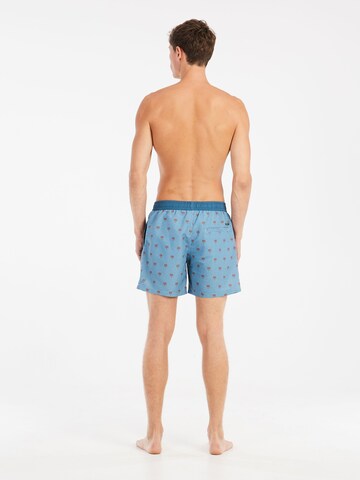 PROTEST Swimming shorts 'PRTParco' in Blue