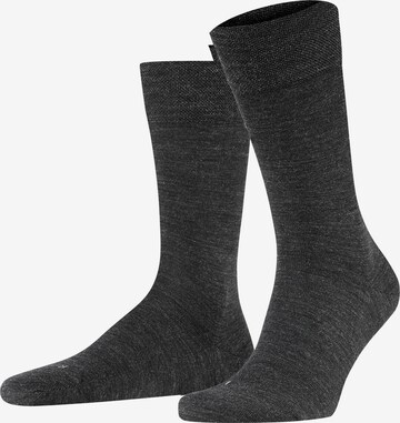 FALKE Socken 'Sensitive Berlin' in Grau: Vorderseite