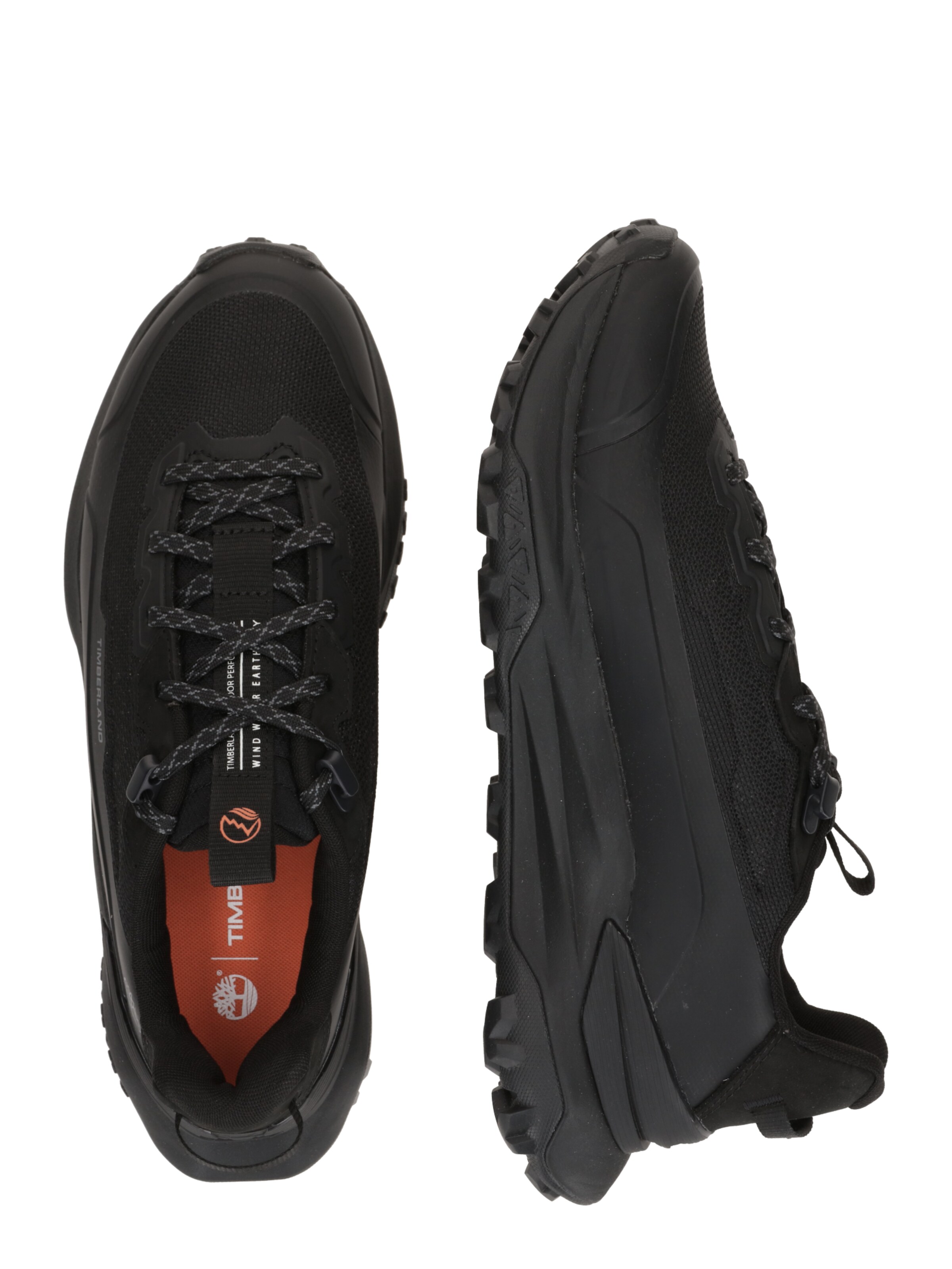 Sneaker bassa di TIMBERLAND in nero