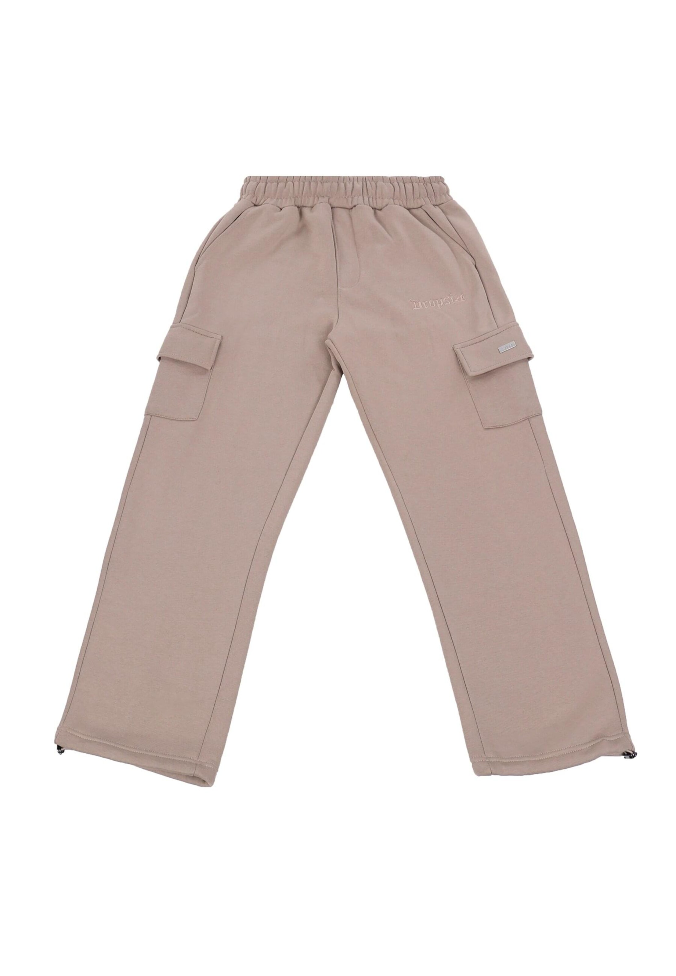 Pantaloni cargo di Dropsize in grigio: frontale
