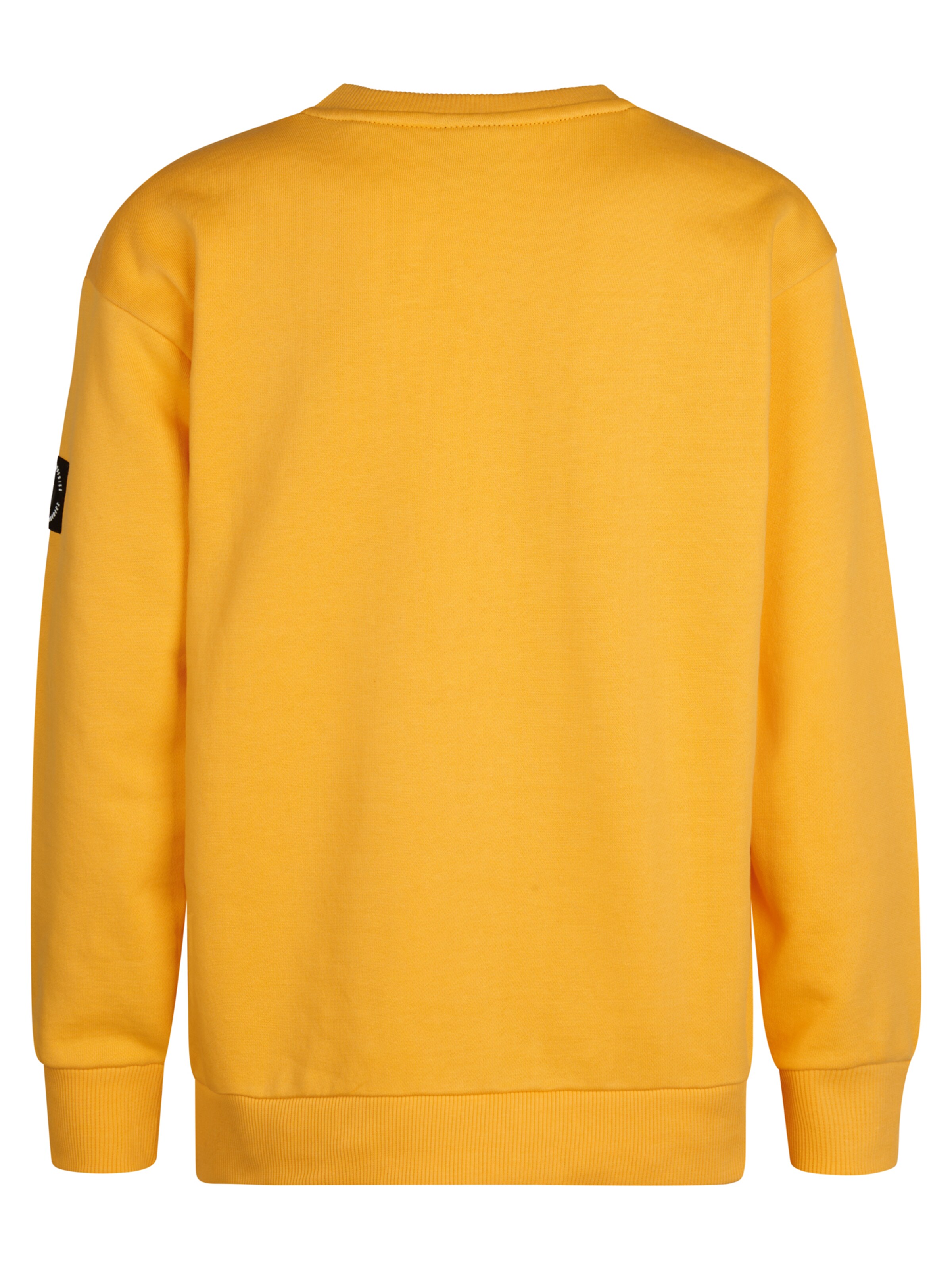 Petrol Industries Sweatshirt 'Allegheny' in Yellow