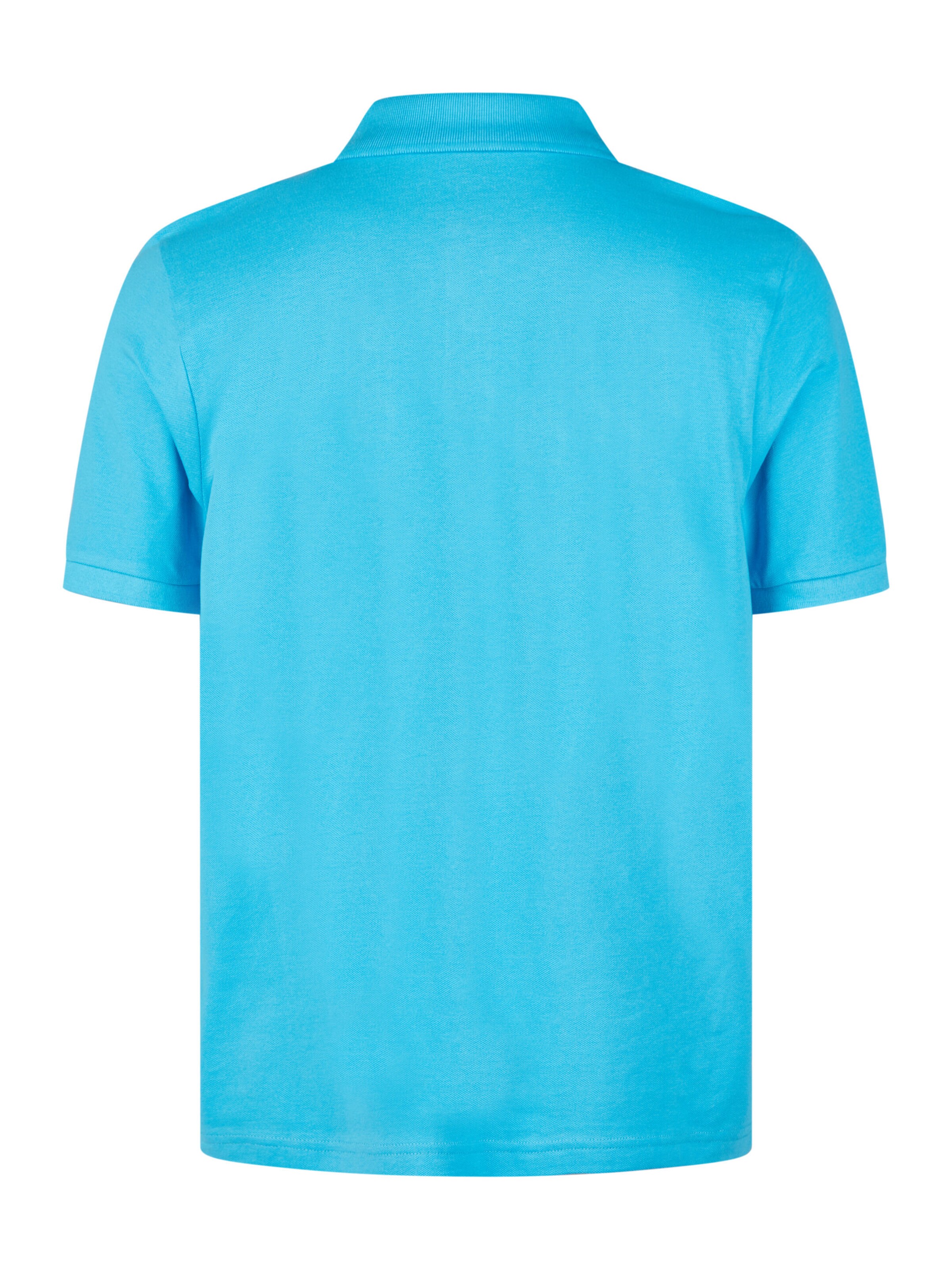 HECHTER PARIS Shirt in Blue