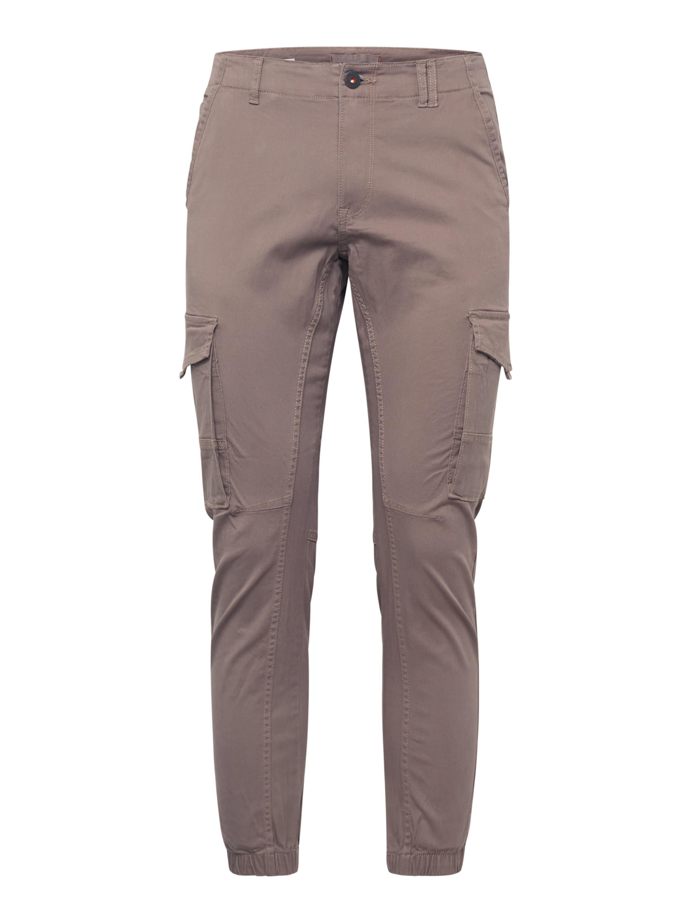 Pantaloni cargo 'JJIPaul JJFlake' di JACK & JONES in marrone: frontale