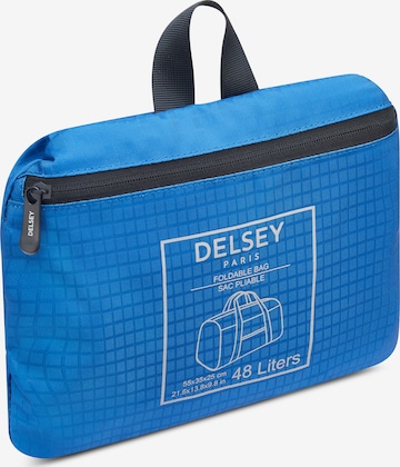 Delsey Paris Travel Bag in Blue