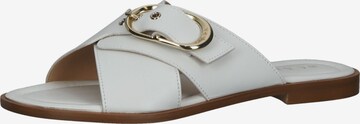 SCAPA Mules in White: front