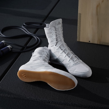 Chaussure de sport 'Box Hog 4' ADIDAS PERFORMANCE en blanc