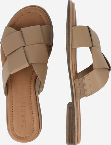 ESPRIT Mules in Brown