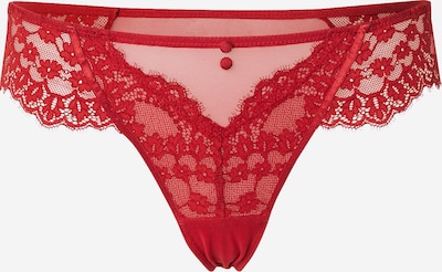 XS dydžio Siaurikės 'Daisy' iš Hunkemöller, spalva – raudona, Prekių apžvalga