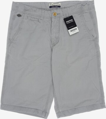 ESPRIT Shorts in 29 in Grey: front