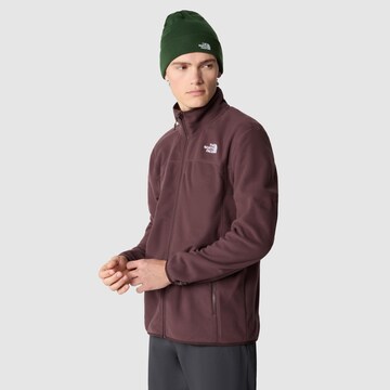 THE NORTH FACE Fleecejacke '100 GLACIER' in Braun: Vorderseite