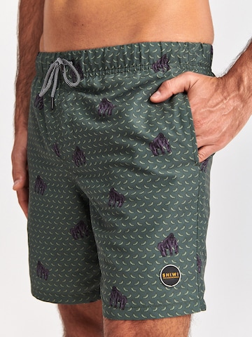 Shiwi Board Shorts in Green