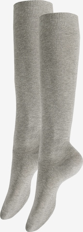 Hudson Kniestrümpfe in Grau: Vorderseite