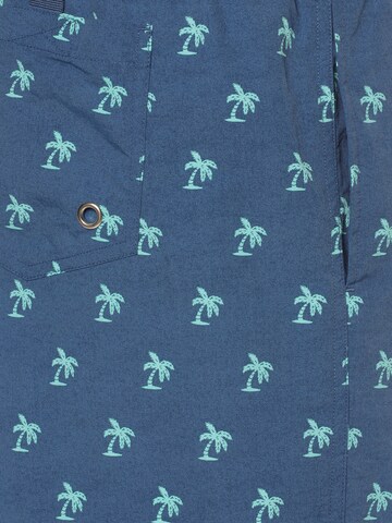 Nils Sundström Board Shorts in Blue