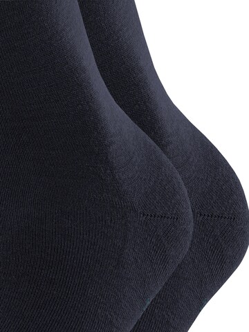 FALKE Socks 'Softmerino 2-Pack' in Blue
