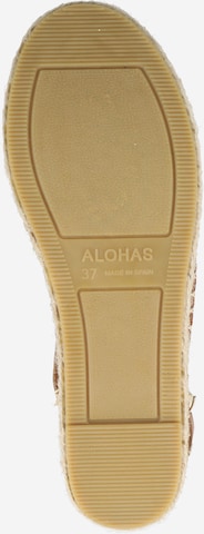 Alohas Sandals in Brown