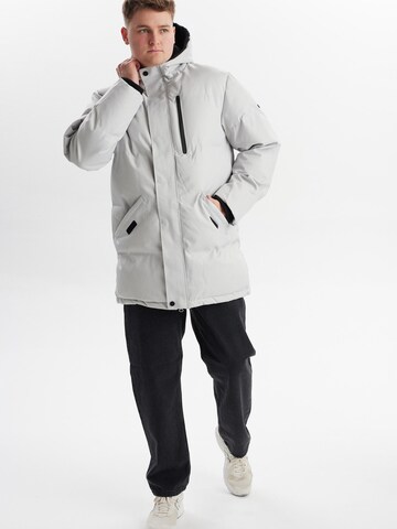 Dxnmxrk Winter jacket 'DXDown' in Grey