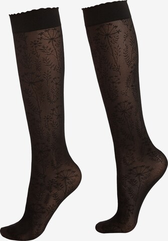 CALZEDONIA Knee High Socks in Black: front