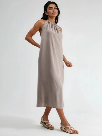 Busem Dress in Brown