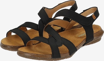 EL NATURALISTA Strap Sandals in Black