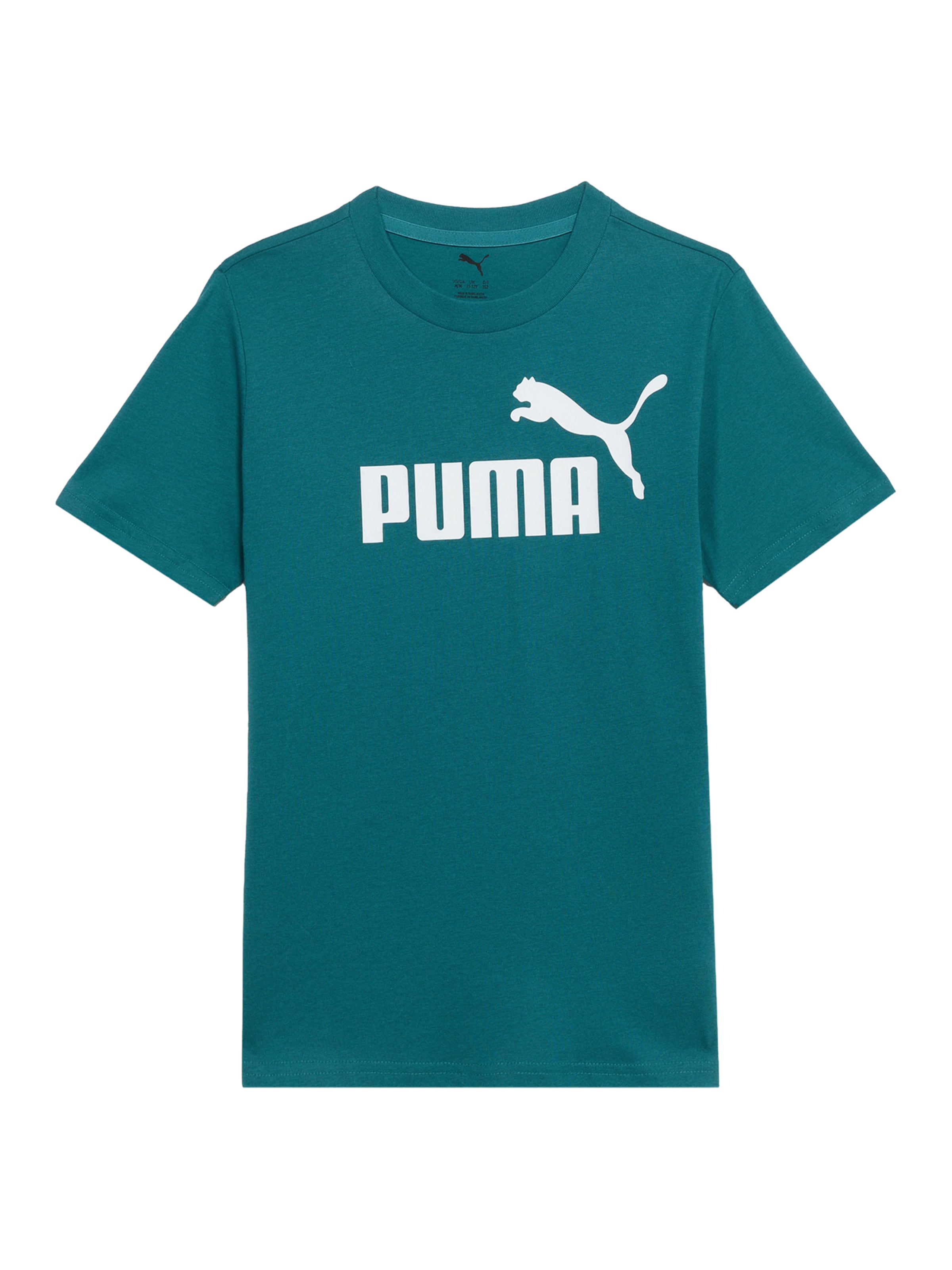 PUMA Тениска 'ESS No. 1' в зелено: отпред