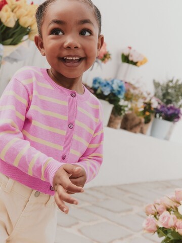 Next Gebreid vest in Roze