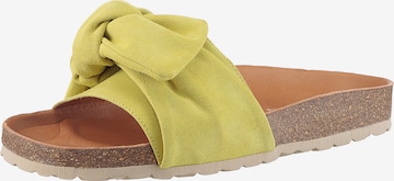 VERBENAS Mules 'Roxy' in Yellow: front