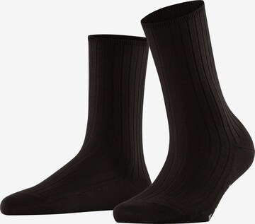 FALKE Socken 'Cotton Rib' in Braun: Vorderseite