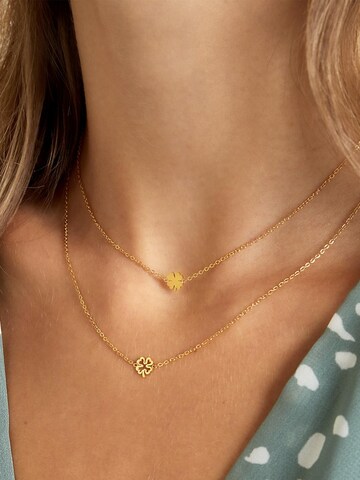 Chaîne 'LUCKY YOU' Cala Rose en or