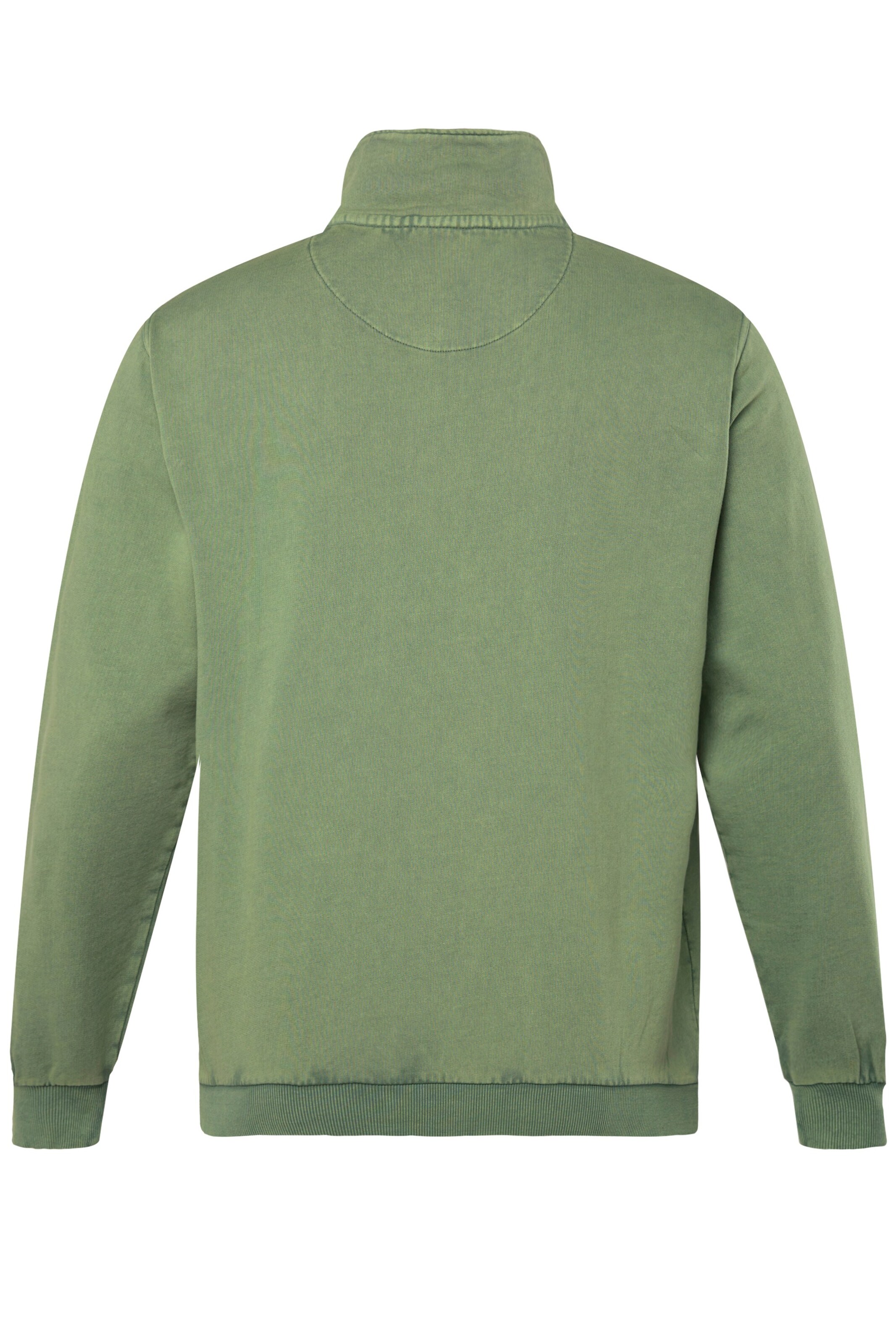 Men Plus Sweatshirt in Green
