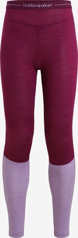 Pantalon de sport ICEBREAKER en violet : devant